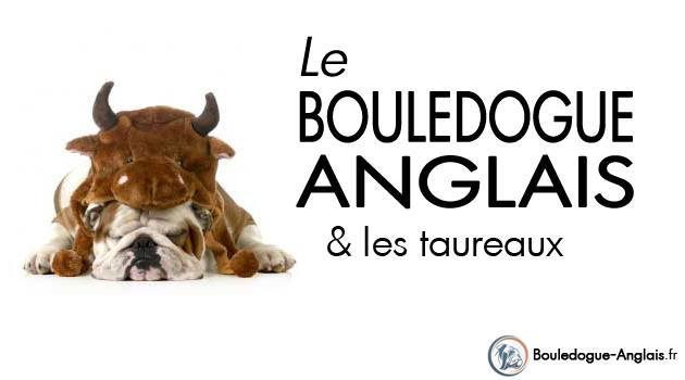 La Race du Bouledogue Anglais